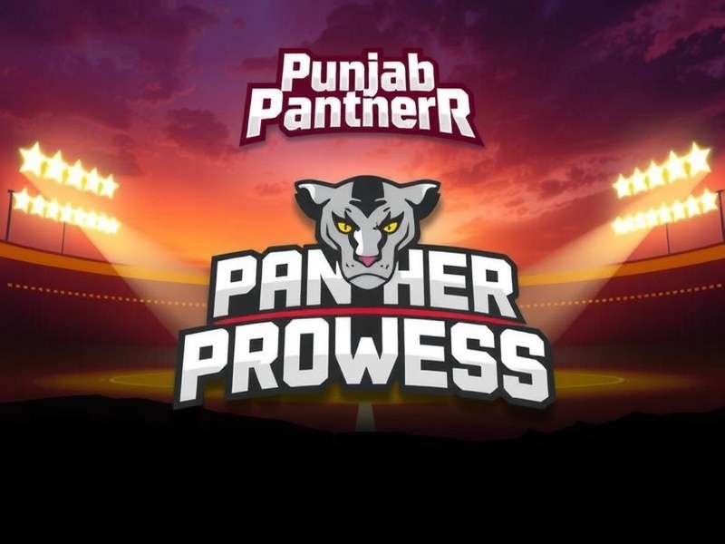 Punjab Panther Prowess - Action Game Punjab Panther Prowess Game Cover